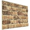 vidaXL ألواح الجدران 10 قطعة 100 x 50 cm رملي داكن فوم EPS