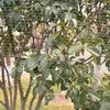 صورة المنتج المصغرة ٣ of ٤