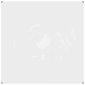 vidaXL غطاء النباتات شفاف 2 x 2 m بي في سي