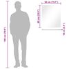 vidaXL مرآة حائط مع رف 50×60 سم زجاج مقسّى