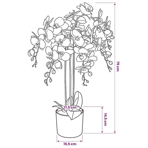 عرض صورة المنتج ٣ من ٣