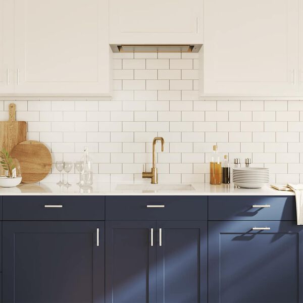 vidaXL مقابض خزانة 10ق فضي فولاذ مقاوم للصدأ 64 ملم