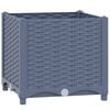 Blue_grey