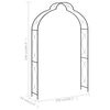 vidaXL قوس حديقة أسود 150×34×240 سم حديد